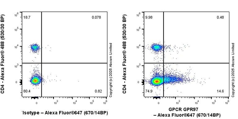 Flow Cytometry - Anti-GPCR GPR97 antibody [RM2090] (AB325346)