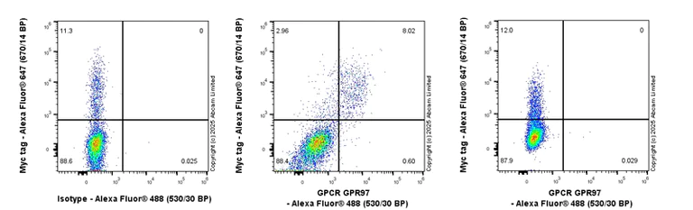 Flow Cytometry - Anti-GPCR GPR97 antibody [RM2090] (AB325346)
