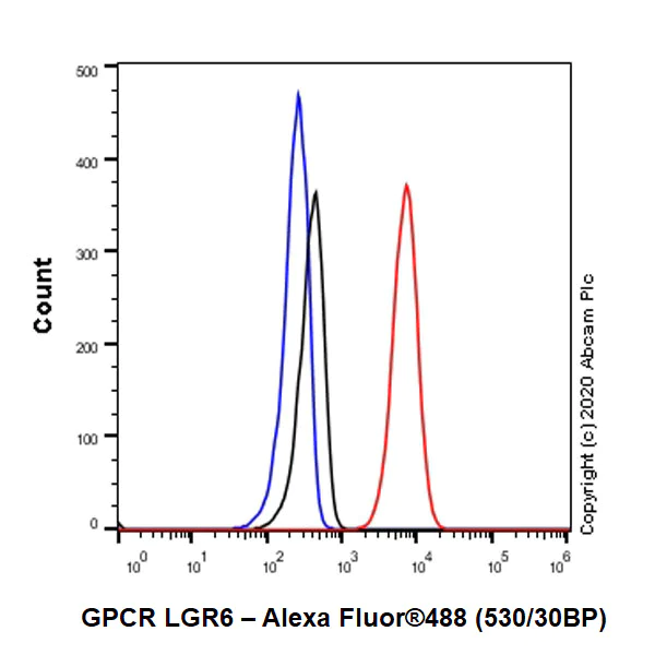Flow Cytometry (Intracellular) - Anti-GPCR LGR6 antibody [EPR6874] (AB126747)
