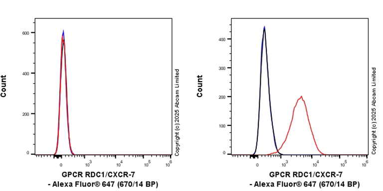 Flow Cytometry - Anti-GPCR RDC1/CXCR-7 antibody [EPR29064-191] (AB324431)