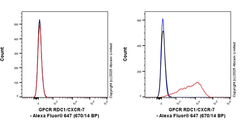 Flow Cytometry - Anti-GPCR RDC1/CXCR-7 antibody [EPR29064-191] (AB324431)