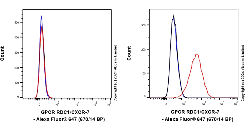 Flow Cytometry - Anti-GPCR RDC1/CXCR-7 antibody [EPR29064-22] (AB322663), expandable thumbnail