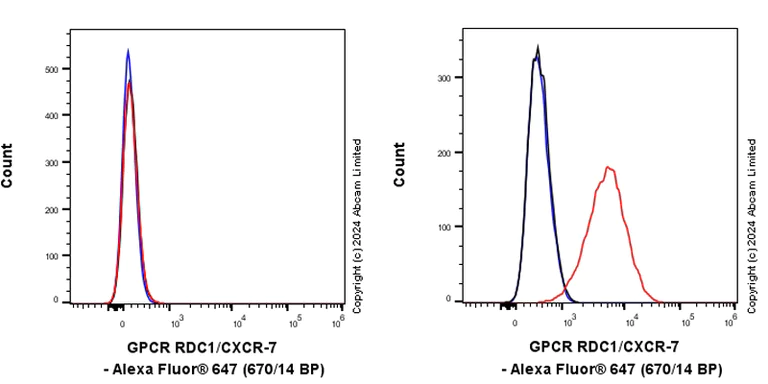 Flow Cytometry - Anti-GPCR RDC1/CXCR-7 antibody [EPR29064-22] (AB322663)
