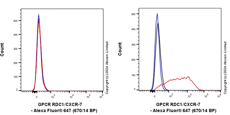 Flow Cytometry - Anti-GPCR RDC1/CXCR-7 antibody [EPR29064-22] (AB322663), expandable thumbnail
