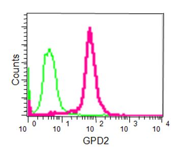 Flow Cytometry (Intracellular) - Anti-GPD2 antibody [EPR14259] - BSA and Azide free (AB240305)
