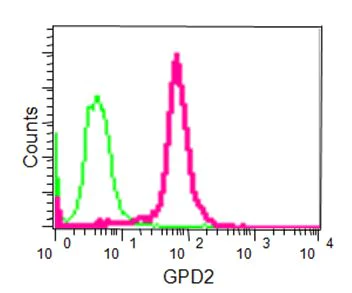 Flow Cytometry (Intracellular) - Anti-GPD2 antibody [EPR14259] - BSA and Azide free (AB240305)