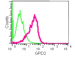 Flow Cytometry (Intracellular) - Anti-GPD2 antibody [EPR14260] (AB182144)