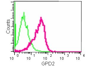 Flow Cytometry (Intracellular) - Anti-GPD2 antibody [EPR14260] - BSA and Azide free (AB250586), expandable thumbnail