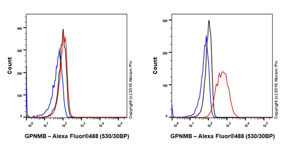 Flow Cytometry (Intracellular) - Anti-GPNMB antibody [EPR18226-147] - BSA and Azide free (AB234529), expandable thumbnail