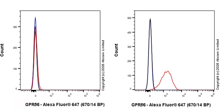 Flow Cytometry - Anti-GPR56 antibody [RM2094] (AB326042)