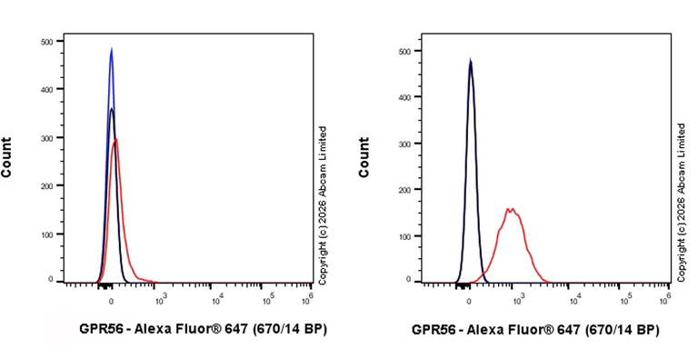 Flow Cytometry - Anti-GPR56 antibody [RM2094] (AB326042)