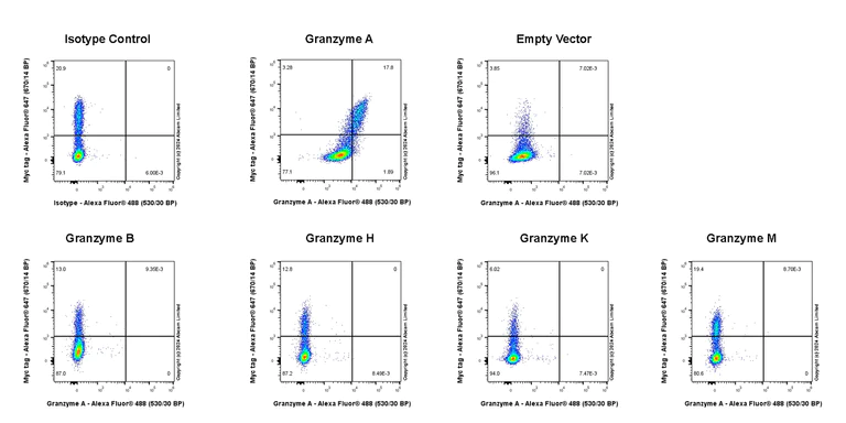 Flow Cytometry (Intracellular) - Anti-Granzyme A antibody [EPR29034-79] - BSA and Azide free (AB321993)