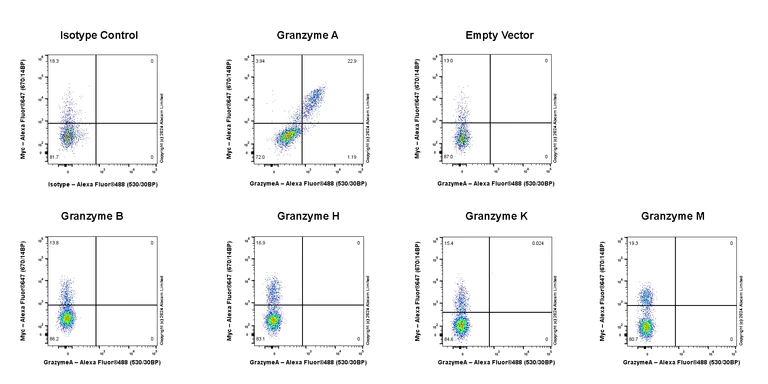 Flow Cytometry (Intracellular) - Anti-Granzyme A antibody [RM2061] (AB322896)