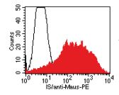 Flow Cytometry - Anti-Granzyme K antibody [GM-24C3] (AB3771), expandable thumbnail