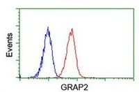 Flow Cytometry (Intracellular) - Anti-GRAP2 antibody [OTI1G2] (AB119244)