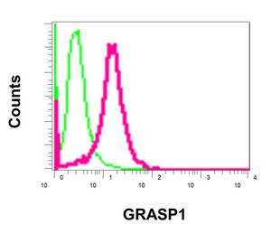 Flow Cytometry (Intracellular) - Anti-GRASP1 antibody [EPR11703] - BSA and Azide free (AB249660), expandable thumbnail