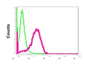 Flow Cytometry (Intracellular) - Anti-GRASP65 antibody [EPR12439] - C-terminal (AB174834)