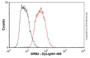 Flow Cytometry (Intracellular) - Anti-GRB2 antibody [Y301] - BSA and Azide free (AB247231)