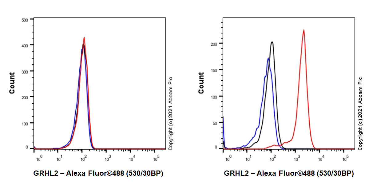 Flow Cytometry (Intracellular) - Anti-GRHL2 antibody [EPR24386-76] (ab271023), expandable thumbnail