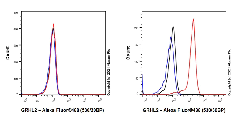 Flow Cytometry (Intracellular) - Anti-GRHL2 antibody [EPR24386-76] (AB271023)
