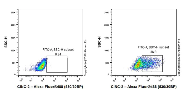 Flow Cytometry (Intracellular) - Anti-GRO gamma antibody [EPR21759-11] (AB220431)