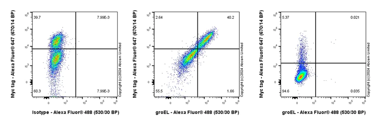Flow Cytometry (Intracellular) - Anti-groEL antibody [EPR28718-8] - BSA and Azide free (AB318971)