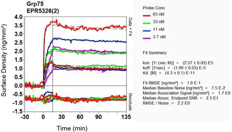 OI-RD Scanning - Anti-Grp75/MOT antibody [EPR5326(2)] (AB129201)