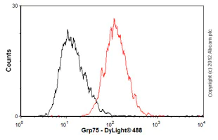 Flow Cytometry - Anti-Grp75/MOT antibody [JG1] (AB2799)