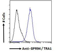 Flow Cytometry (Intracellular) - Anti-GRP94 antibody (AB52031), expandable thumbnail