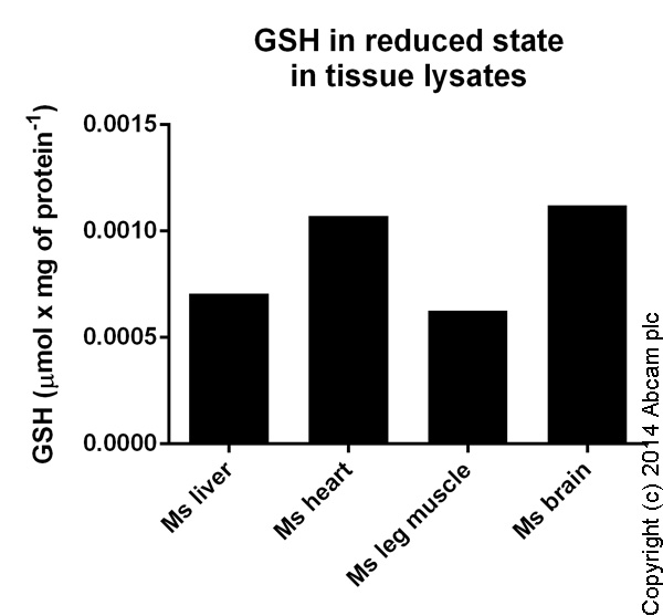 Functional Studies - GSH/GSSG Ratio Detection Assay Kit (Fluorometric - Green) (AB138881), expandable thumbnail