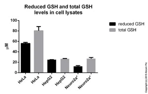 Functional Studies - GSH/GSSG Ratio Detection Assay Kit II (Fluorometric - Green) (AB205811)