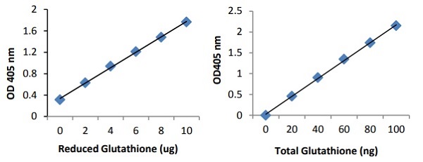 Functional Studies - GSH+GSSG / GSH Assay Kit (Colorimetric) (AB239709), expandable thumbnail