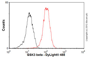 Anti-GSK3 beta antibody [3D10]