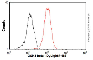 Flow Cytometry - Anti-GSK3 beta antibody [3D10] (AB93926)