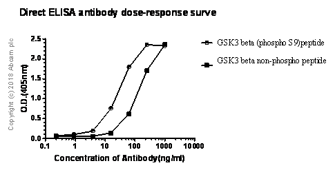 ELISA - Anti-GSK3 beta antibody [Y174] (ab32391), expandable thumbnail