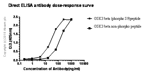 ELISA - Anti-GSK3 beta antibody [Y174] (AB32391)
