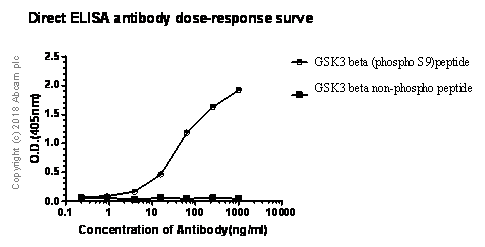 ELISA - Anti-GSK3 beta antibody [Y174] (ab32391), expandable thumbnail