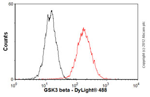 Flow Cytometry (Intracellular) - Anti-GSK3 beta antibody [Y174] (AB32391), expandable thumbnail