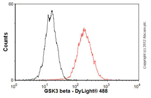 Flow Cytometry (Intracellular) - Anti-GSK3 beta antibody [Y174] (AB32391)