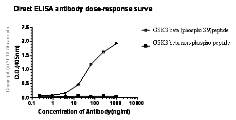 ELISA - Anti-GSK3 beta antibody [Y174] - BSA and Azide free (AB183177)