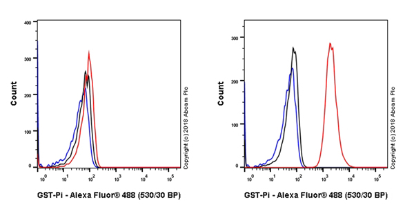 Flow Cytometry (Intracellular) - Anti-GST3 / GST pi antibody [EPR20554] - BSA and Azide free (ab242014), expandable thumbnail