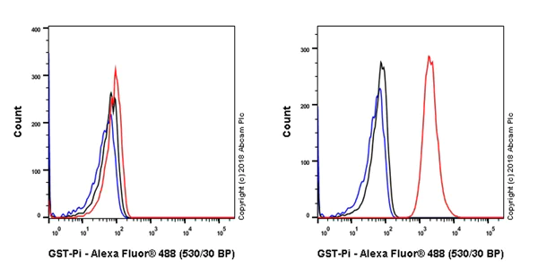 Flow Cytometry (Intracellular) - Anti-GST3 / GST pi antibody [EPR20554] - BSA and Azide free (AB242014)