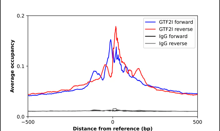 ChIP - Anti-GTF2I Antibody (AB327206)