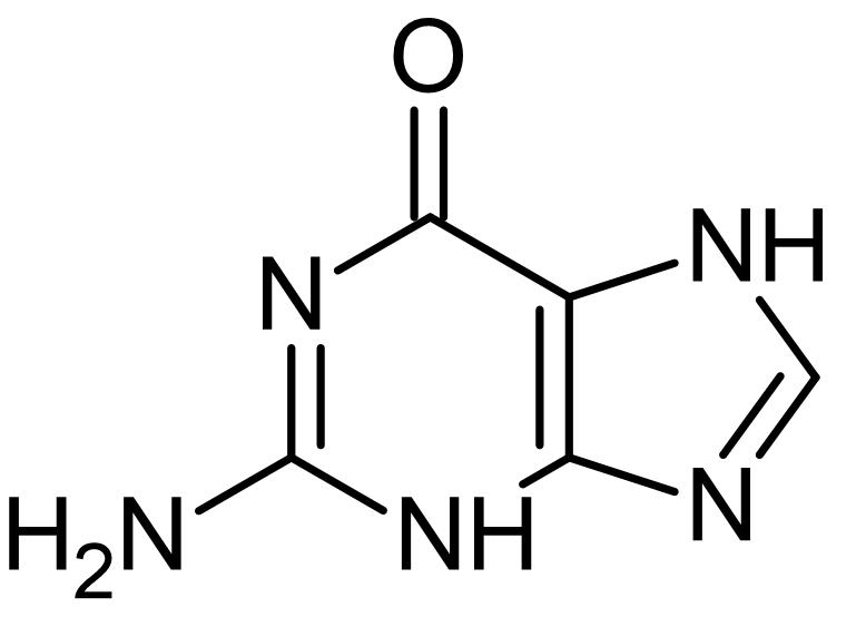 Chemical Structure - Guanine, Nucleobase (AB146242)