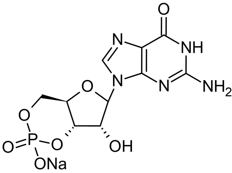 Chemical Structure - Guanosine 3',5'-cyclic monophosphate sodium salt (cGMP), cyclic nucleotide second messenger (AB120805)
