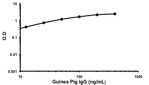 ELISA - Guinea Pig IgG ELISA Kit (AB190525)