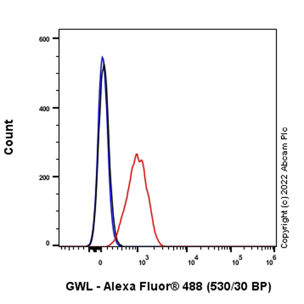 Flow Cytometry (Intracellular) - Anti-GWL antibody [EPR26356-80] (AB307955), expandable thumbnail