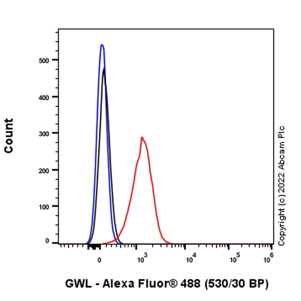 Flow Cytometry (Intracellular) - Anti-GWL antibody [EPR26356-80] (AB307955), expandable thumbnail