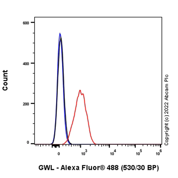 Flow Cytometry (Intracellular) - Anti-GWL antibody [EPR26356-80] - BSA and Azide free (AB307956)