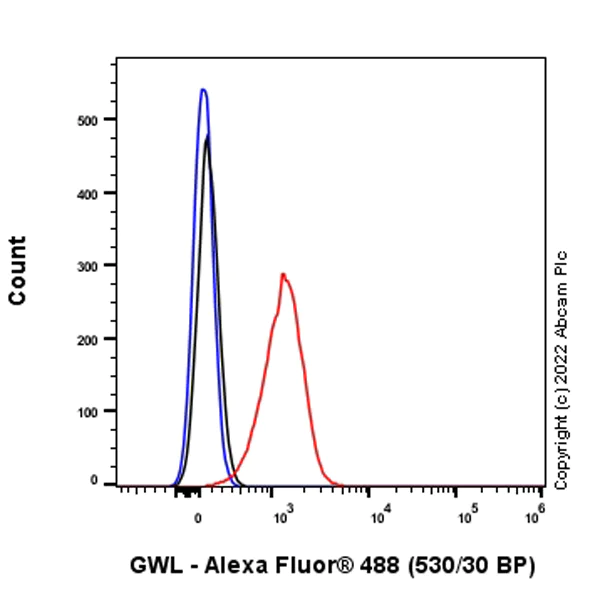 Flow Cytometry (Intracellular) - Anti-GWL antibody [EPR26356-80] - BSA and Azide free (AB307956)